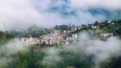 農康旅項目，策劃才是靈魂！